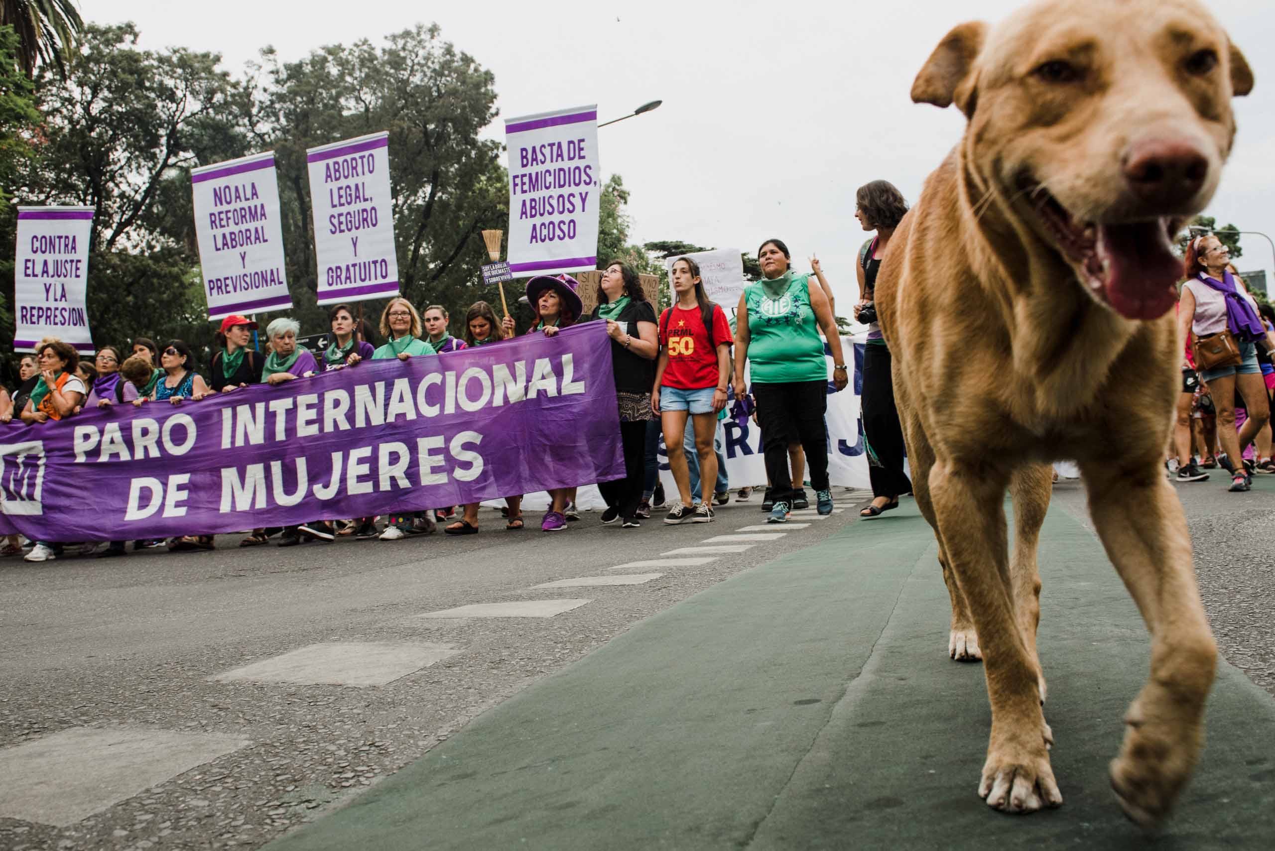 Fotos dia internacional de la mujer photos international women day 8m 54